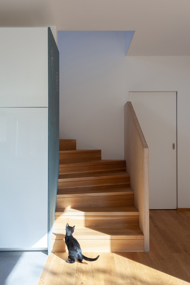 布拉格城市绿洲 · 家庭住宅与后院书房的共生设计-50