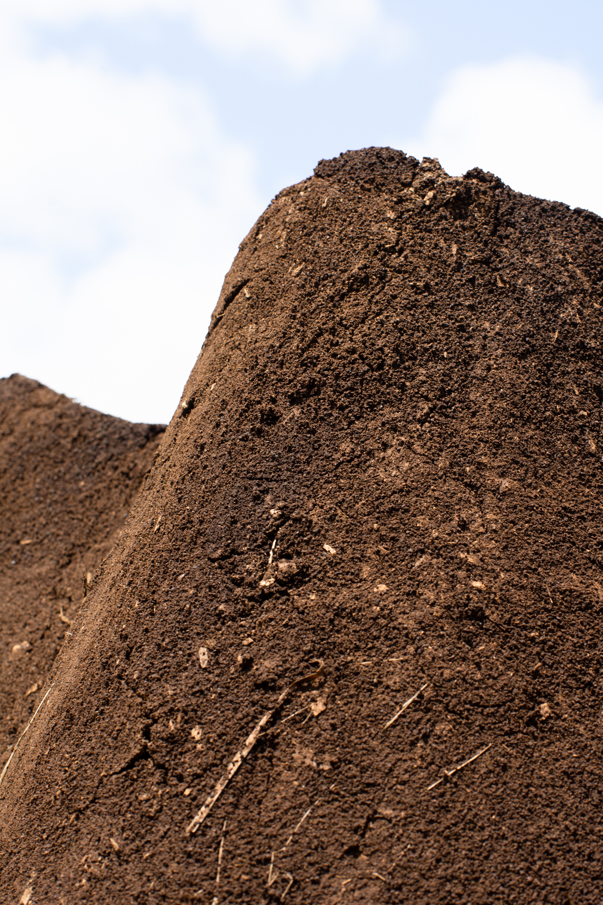 爪哇和果酱亭丨美国丨i,thee-34