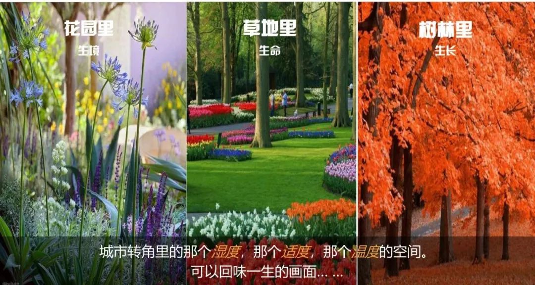 外滩秘境 | 城市花园的时空穿越-59