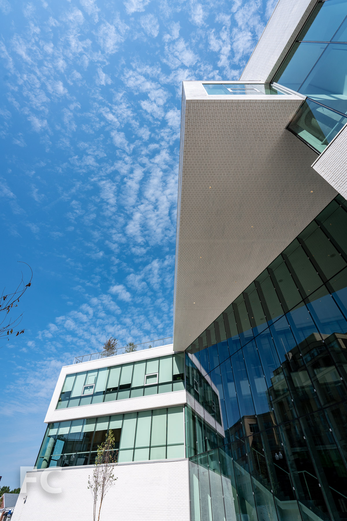 Construction Tour: The Heights Building at Wilson Secondary School — FIELD CONDITION-7