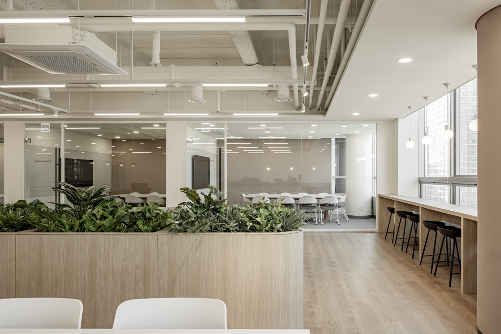 白色与木色，打造 250 平米高级办公空间-18