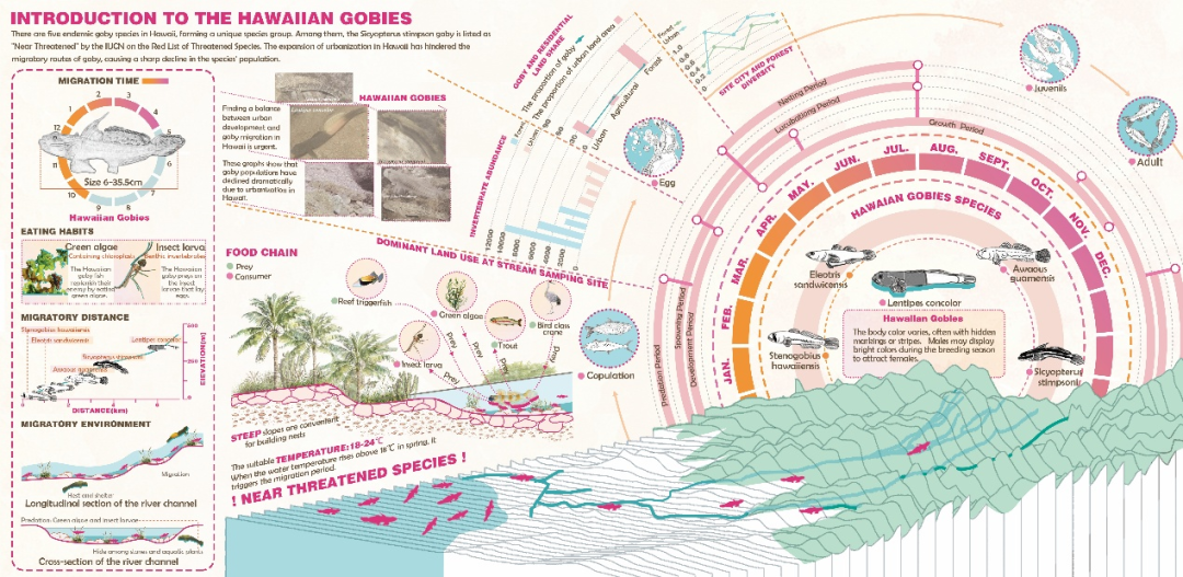 苏大风景园林研究生横扫2025ASLA三项大奖，6年11冠超越国际名校-96