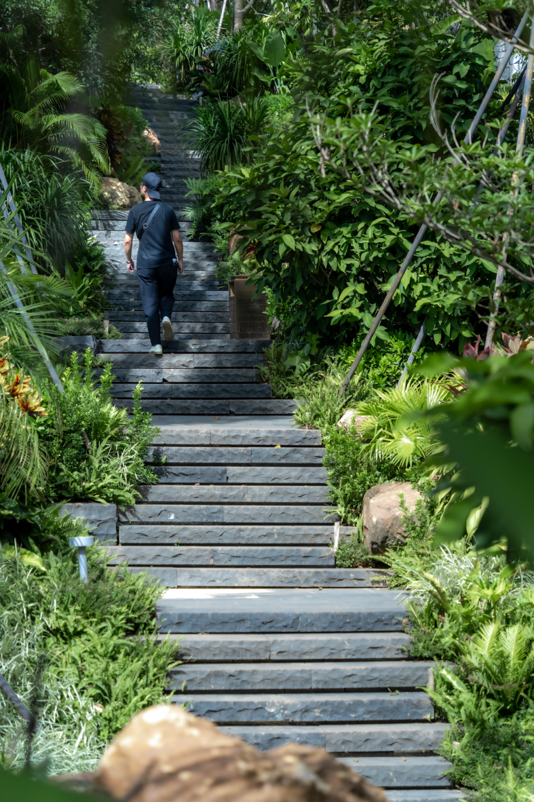 三亚万科瑧山谷,都会四季丨中国三亚丨WTD纬图设计-33