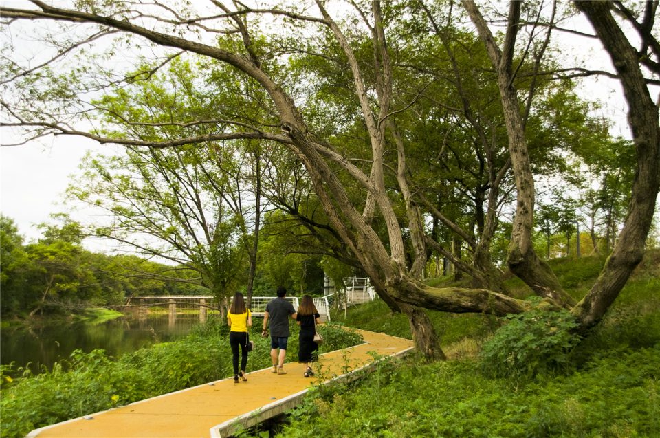 浙江浦阳江生态廊道 | 海绵城市设计与实践-29