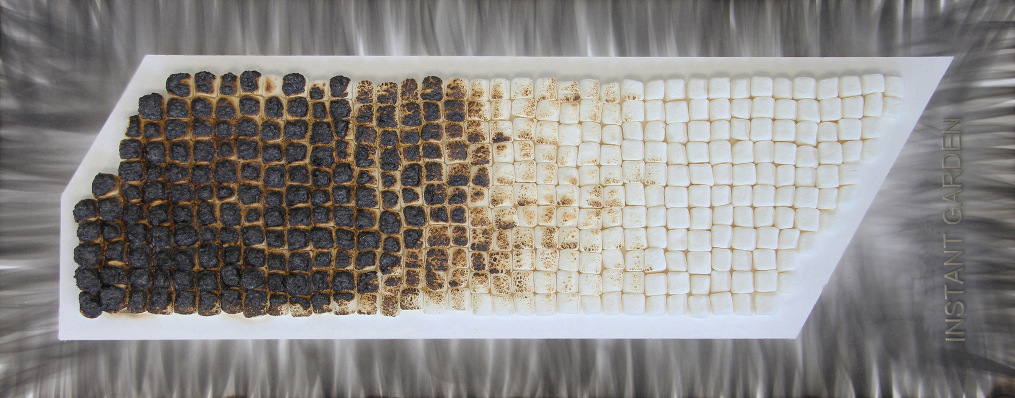 速溶花园丨加拿大温尼伯-7