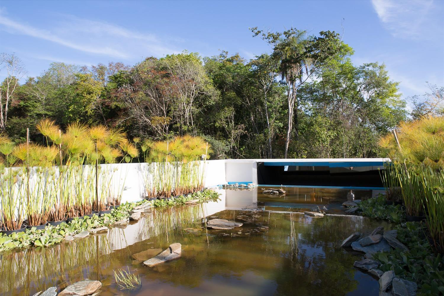 巴西迷你生态花园办公室设计-6