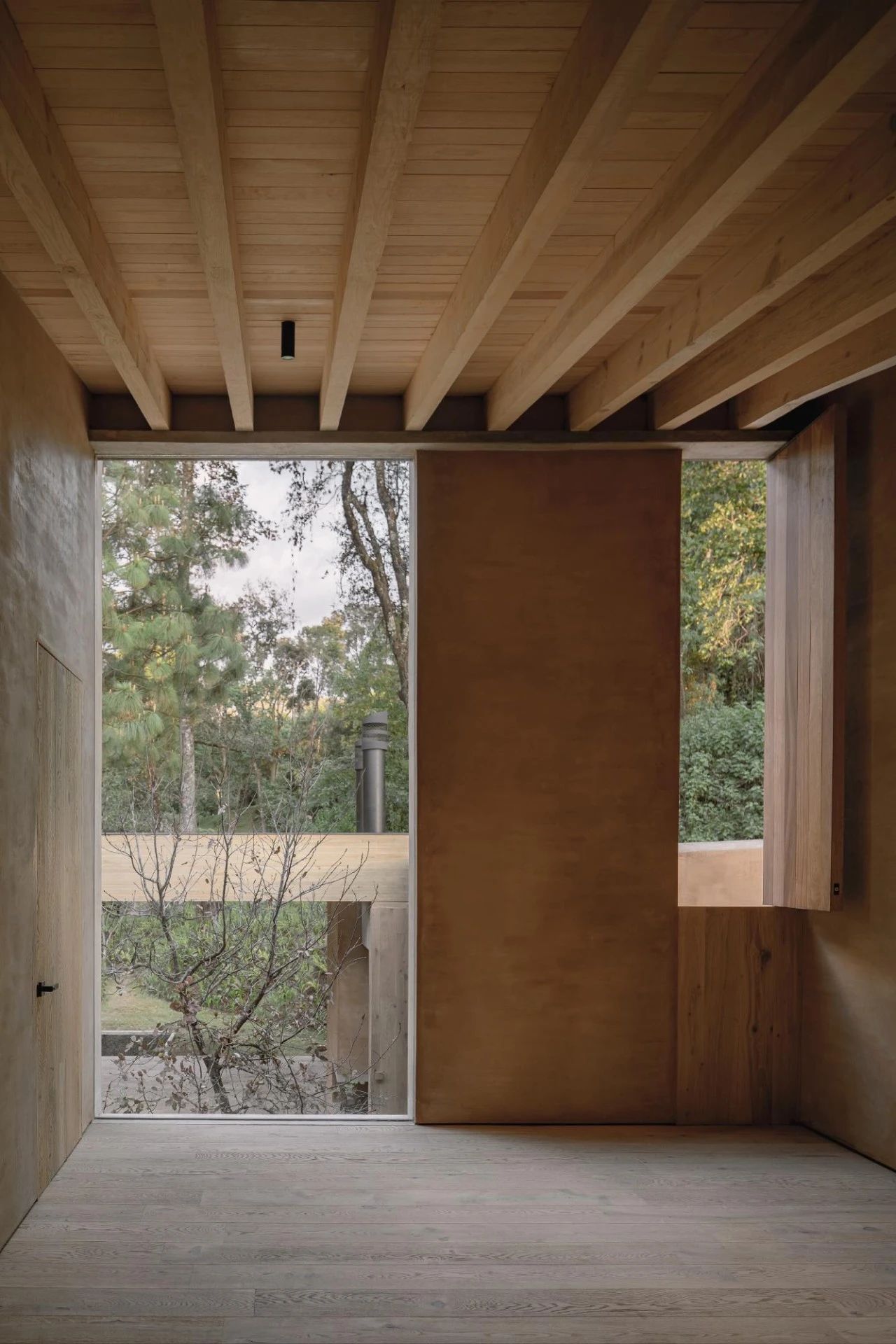 蕨类植物丨墨西哥丨Taller Hector Barroso-20