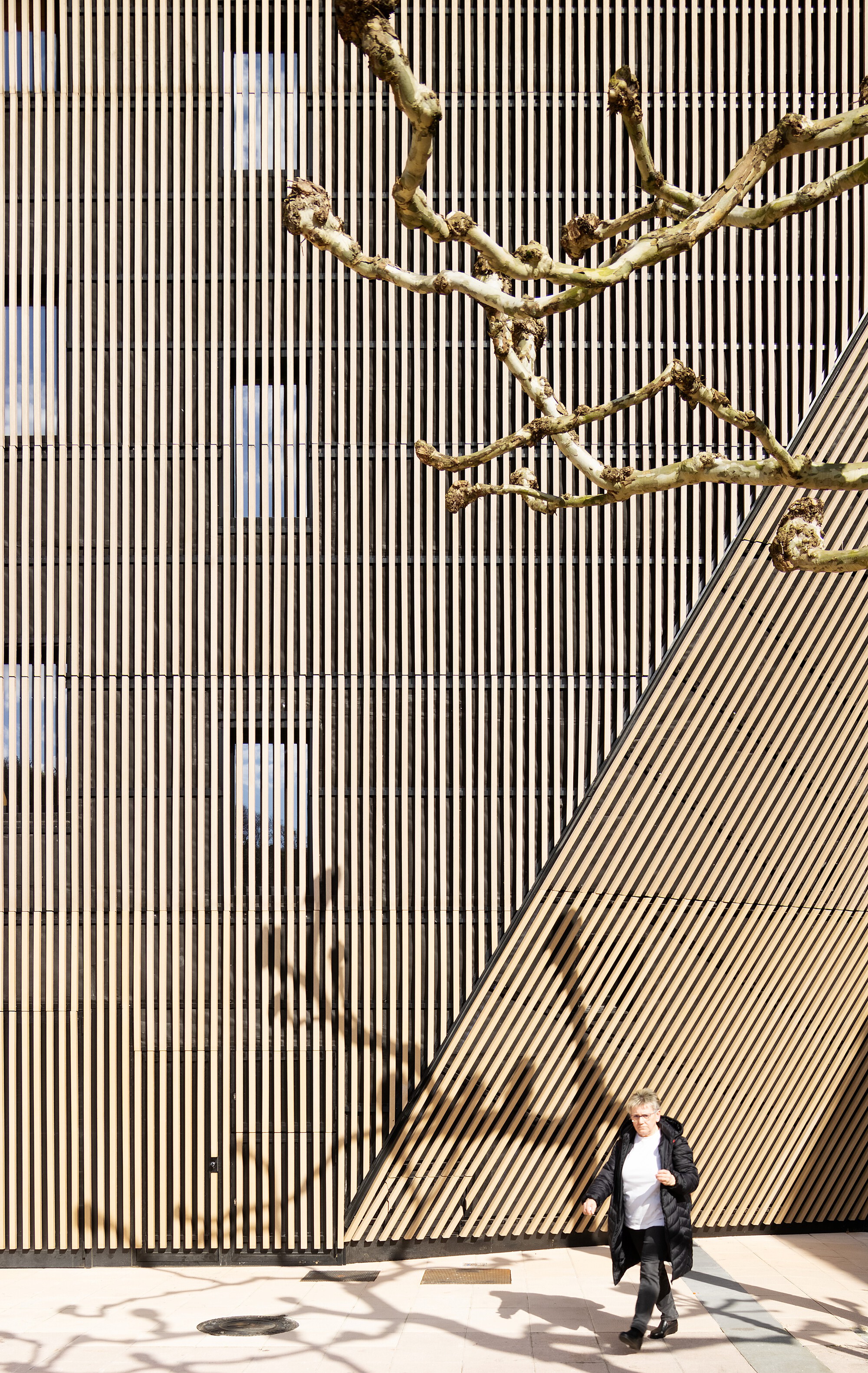 Irura 镇政府大楼改造与扩建丨西班牙丨BARRU ARKITEKTURA SLP-27