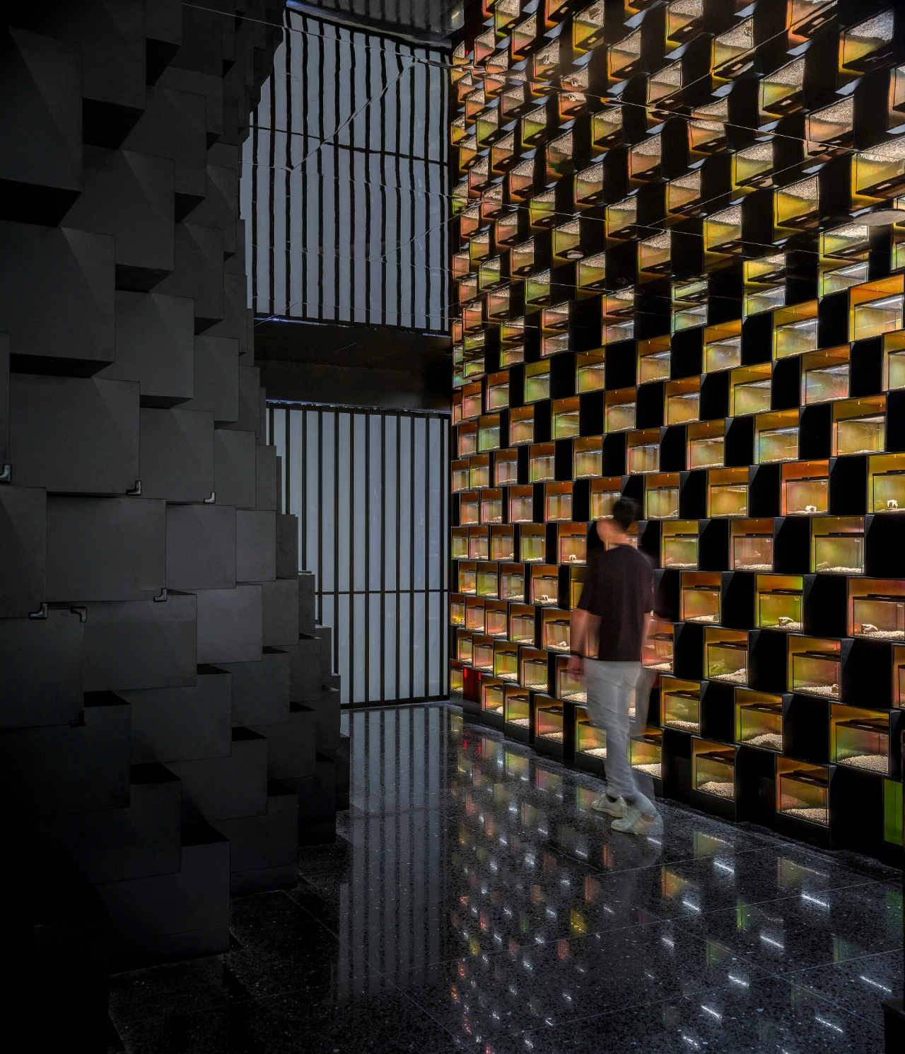 鳞动｜其鳞· 爬宠体验店丨谢几点设计事务所（中国•广州）-40