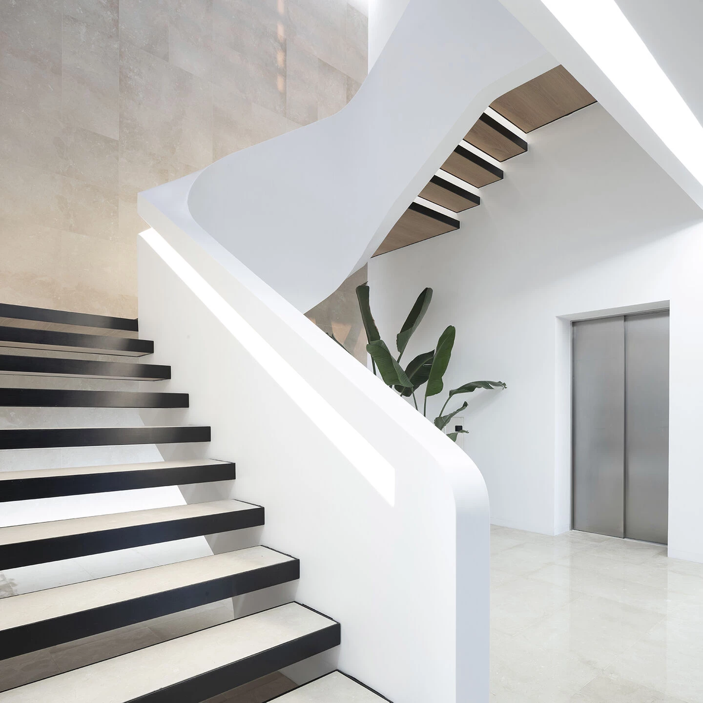 白色蝴蝶结丨西班牙巴伦西亚丨onside | architecture-50