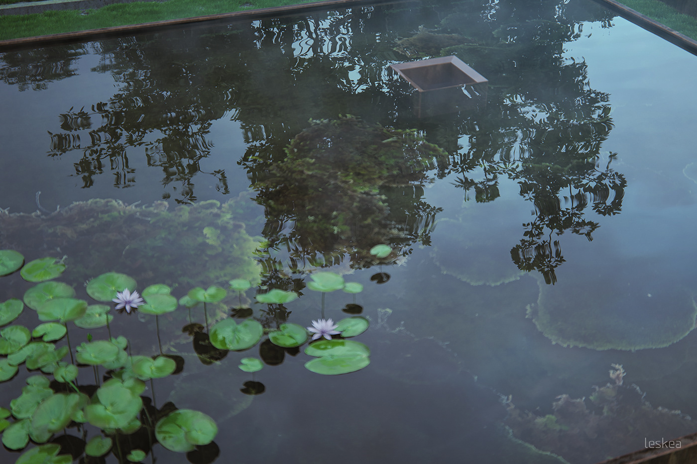 梦幻树屋(Tree House Constantia)-22