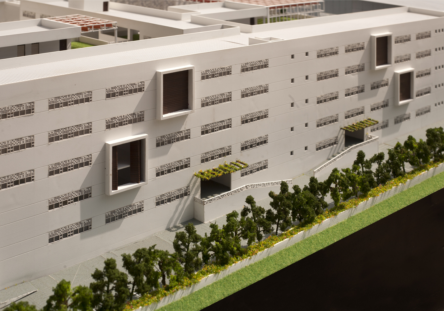 The British School  Morphogenesis-53