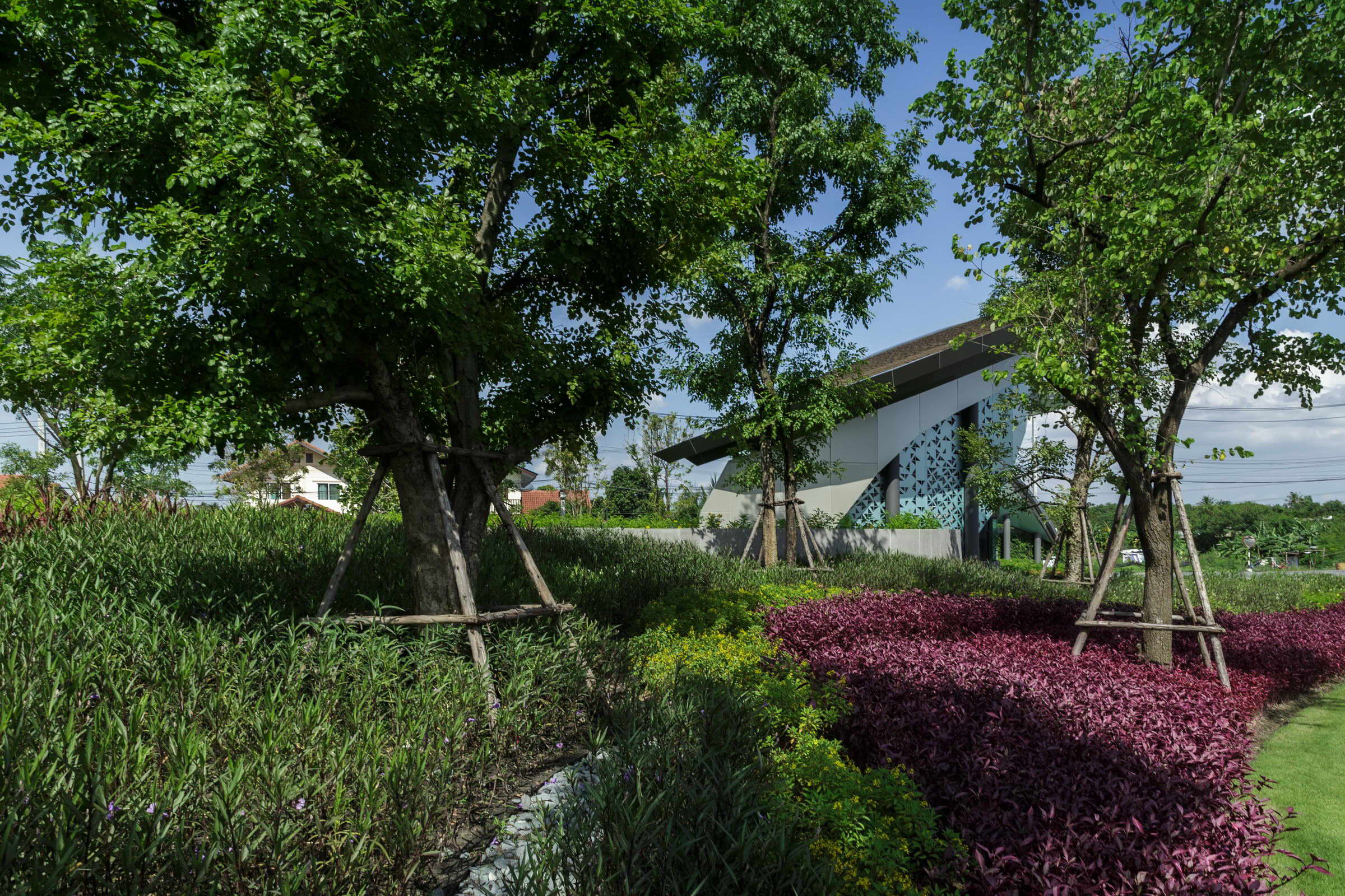 泰国荷花农场入口设计 | 城市与自然的交融-6