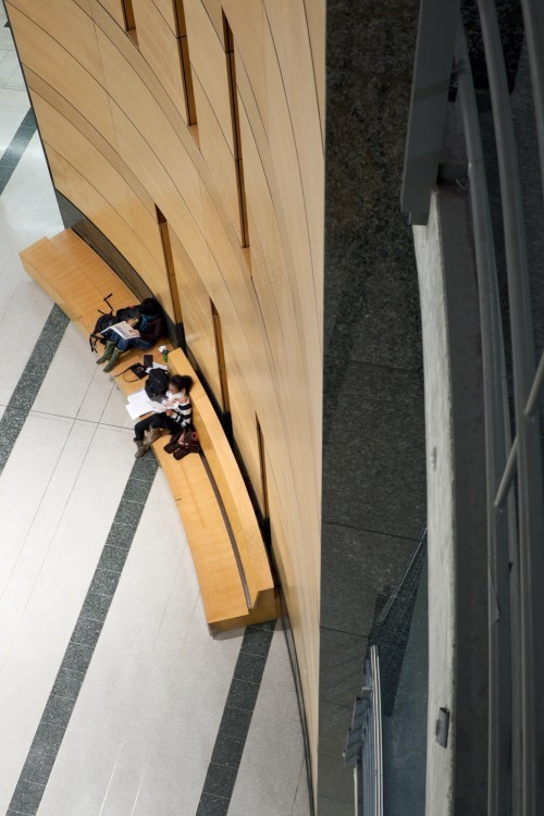 约克大学瓦里楼大厅丨加拿大多伦多丨Gow Hastings Architects-5