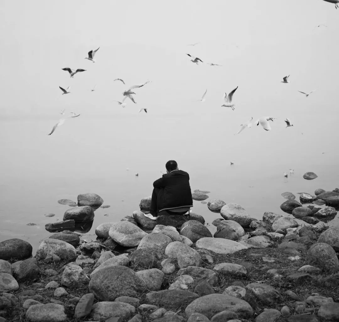 陈海峰  影像纪实 / 东湖之上-37