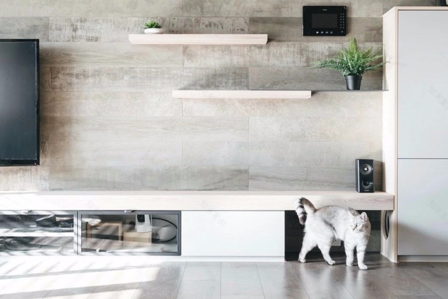 猫奴专属家居设计,打造猫咪欢乐空间-6