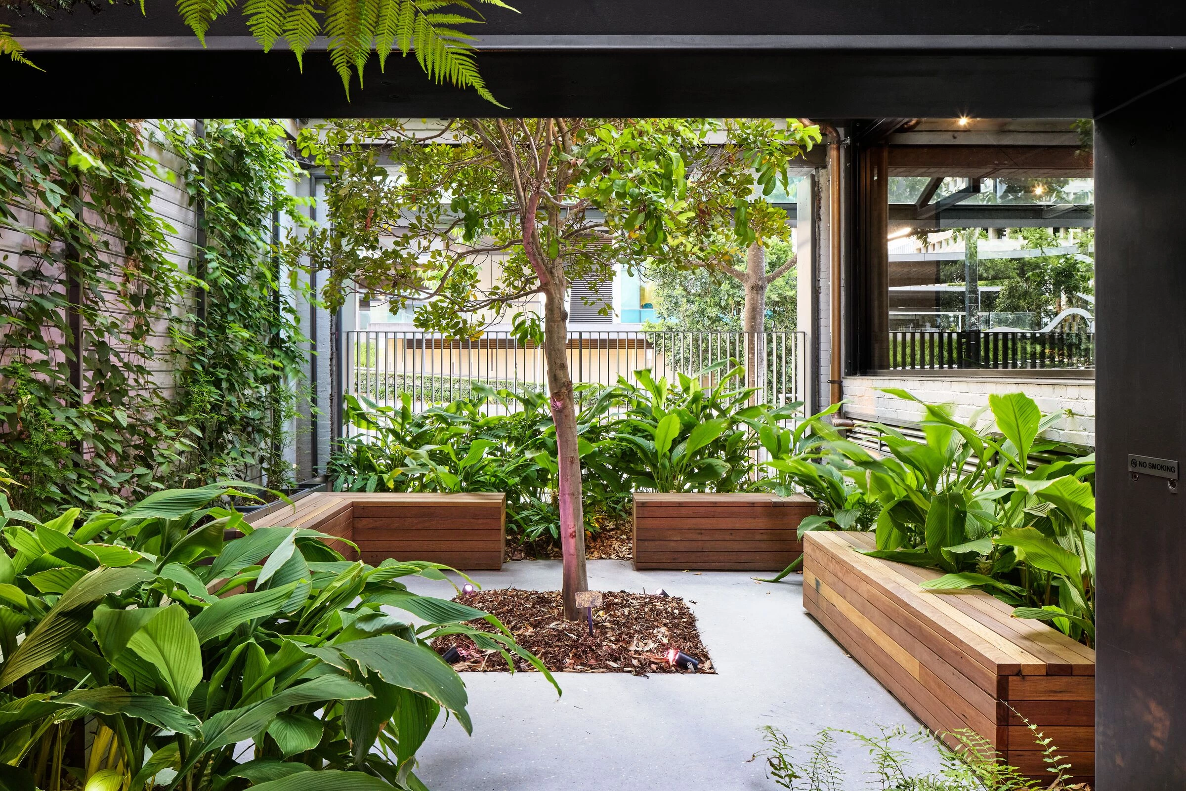 80 Ann Street 景观设计丨澳大利亚布里斯班丨ASPECT Studios-18