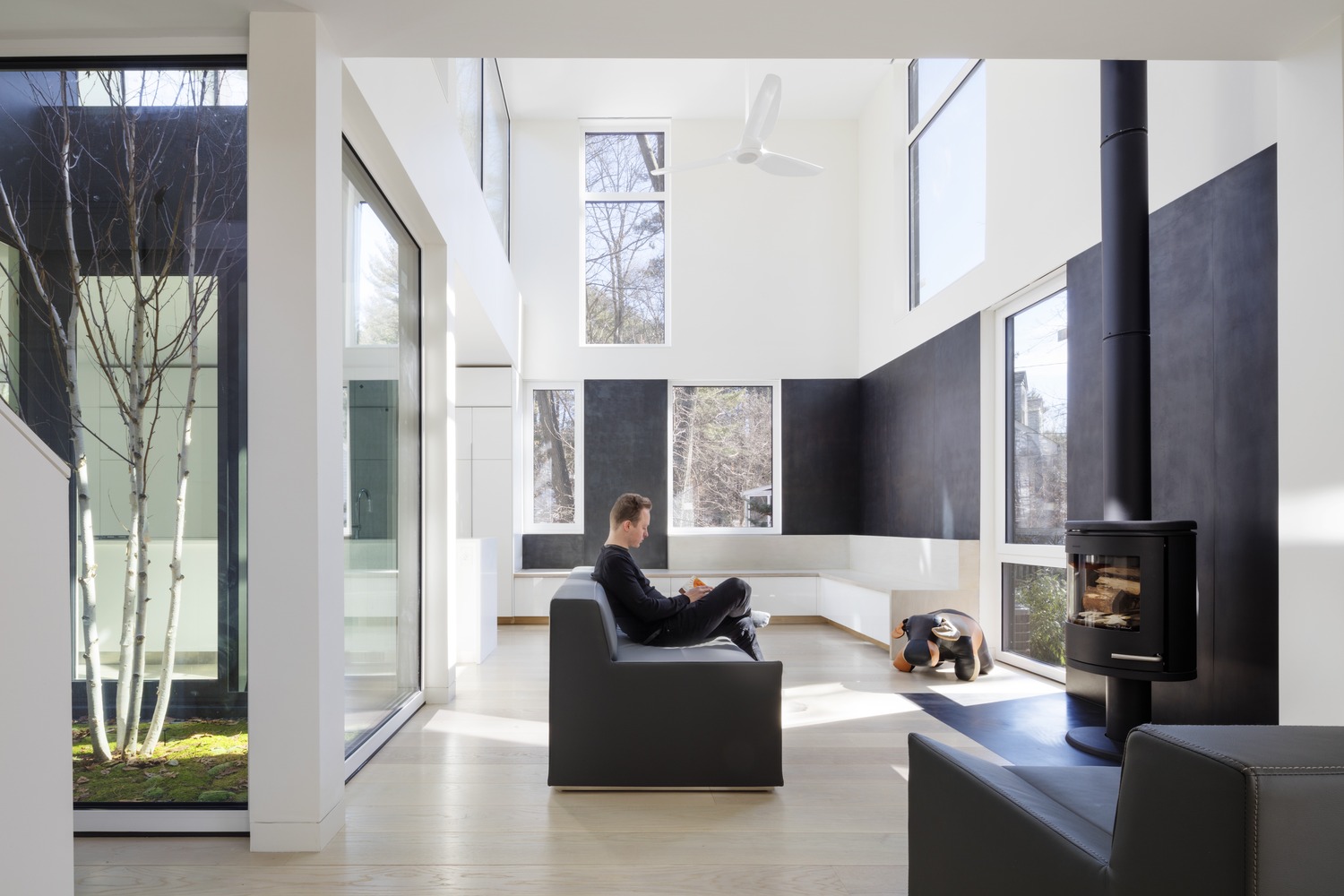 列克星敦的"生长盒子"-37