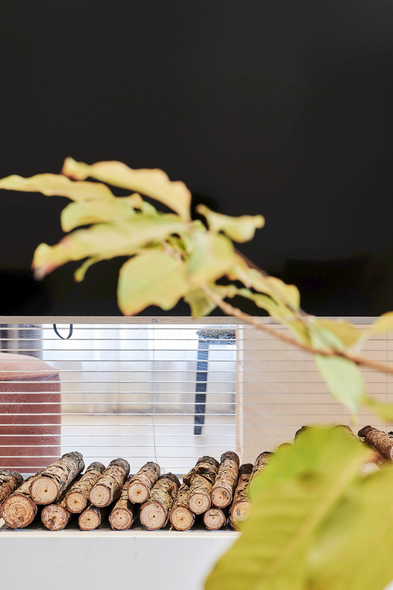 无界之舞 | 自由心灵的室内空间设计-7