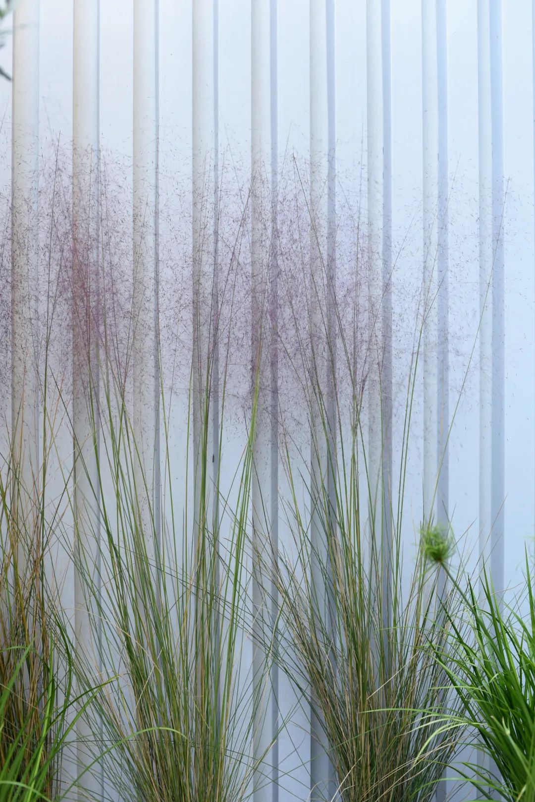 氛围营造家 | 都市中的自然诗意-60