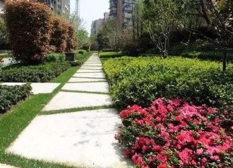 用植物营造空间氛围丨艺汉卿-16