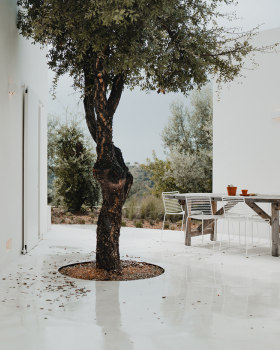 葡萄牙 Casa Luum 别墅丨Pedro Domingos Arquitectos