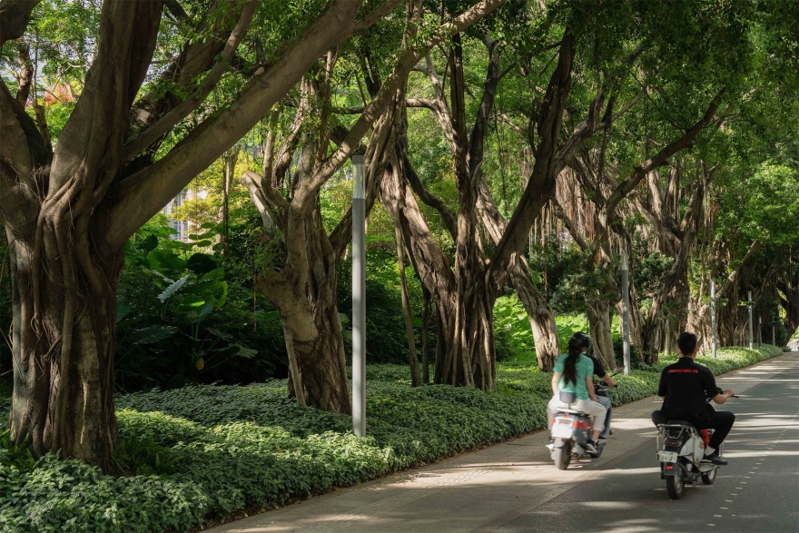 环西丽湖绿道(一期)示范段丨中国深圳丨深圳翰博设计股份有限公司-39