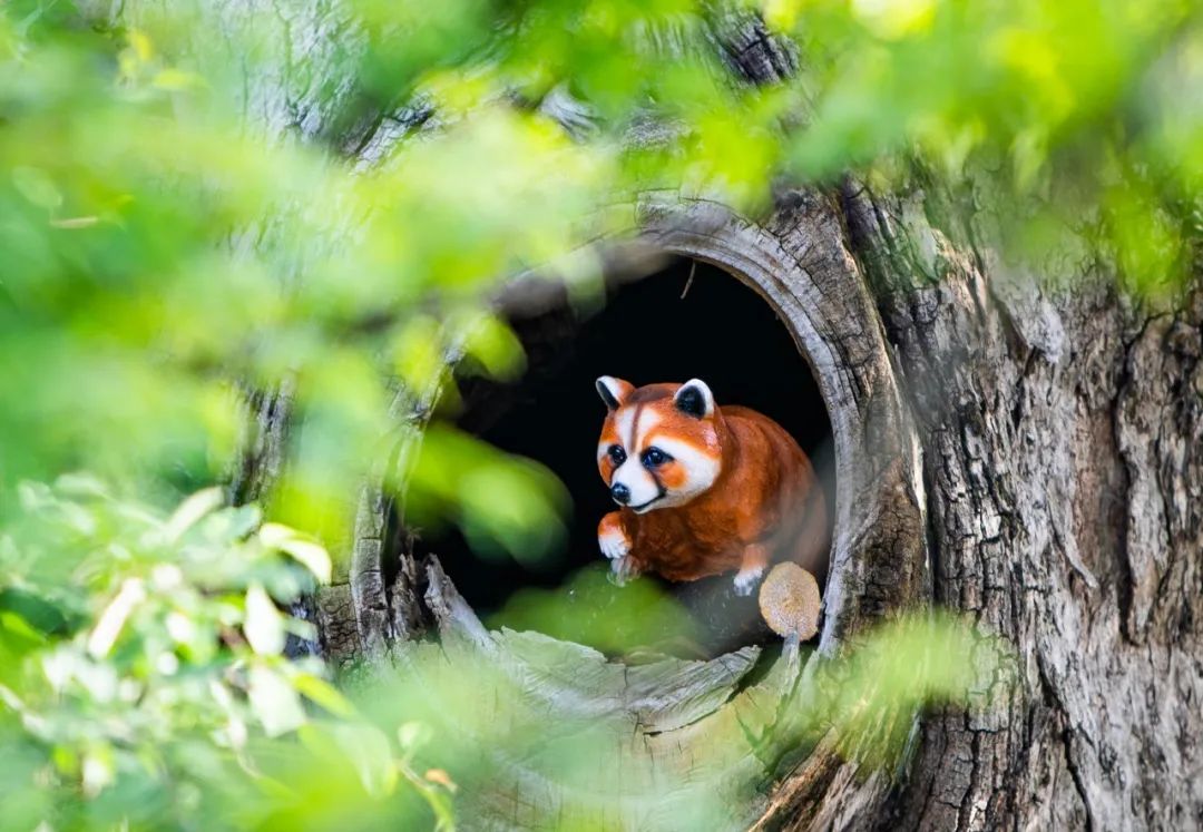 上饶悦麓开元观堂 | 古徽州文化与现代度假的完美融合-138