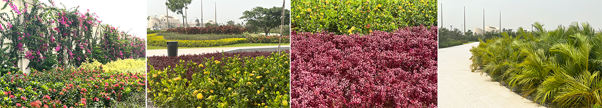 丨贝宁丨Loos van Vliet,与Rod’or Advies合作-24