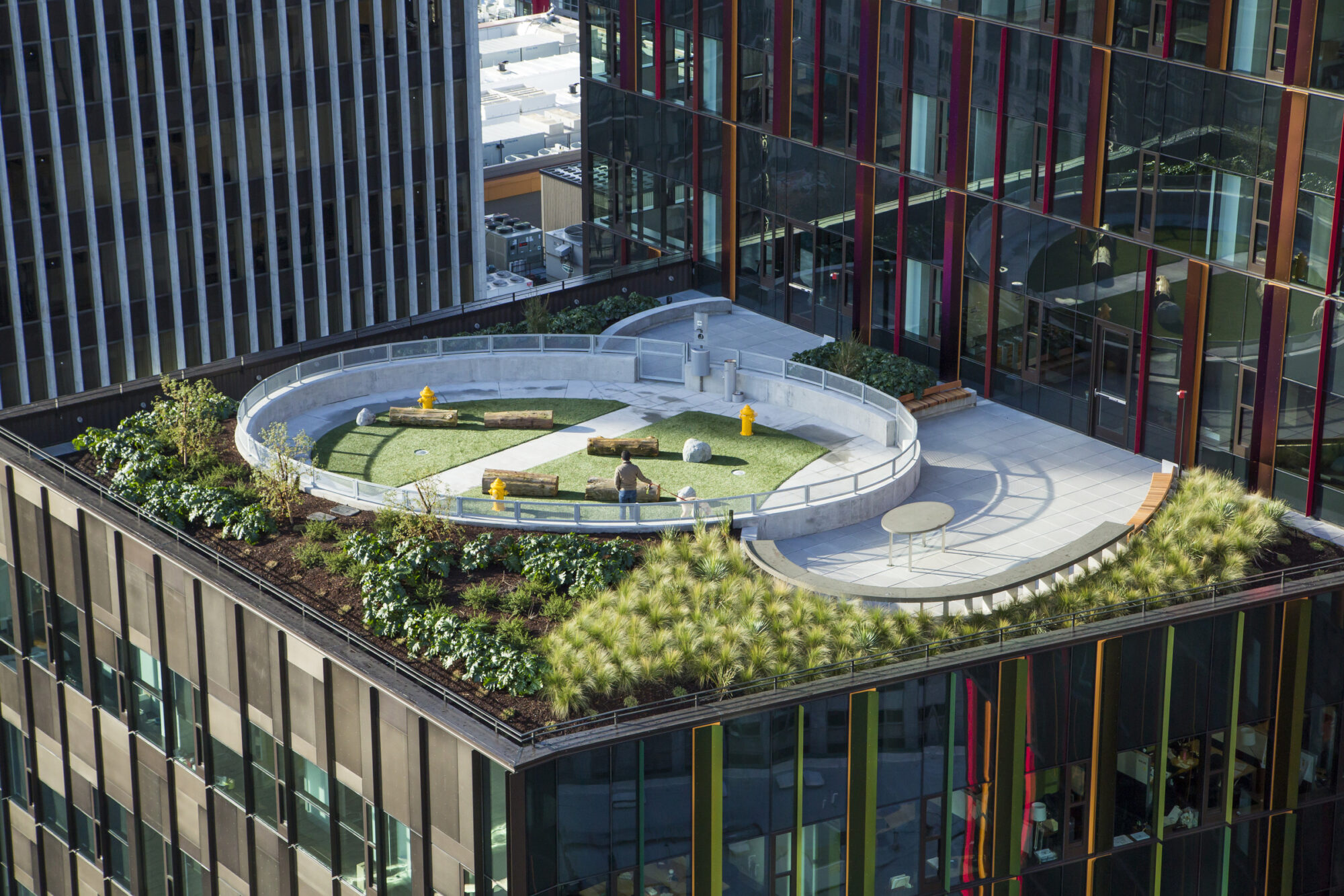 亚马逊总部综合体 -5