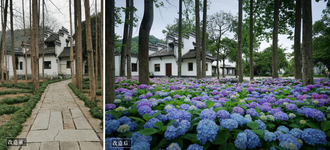 桐庐桐君山改造提升工程设计丨中国杭州丨GED 格境设计-49