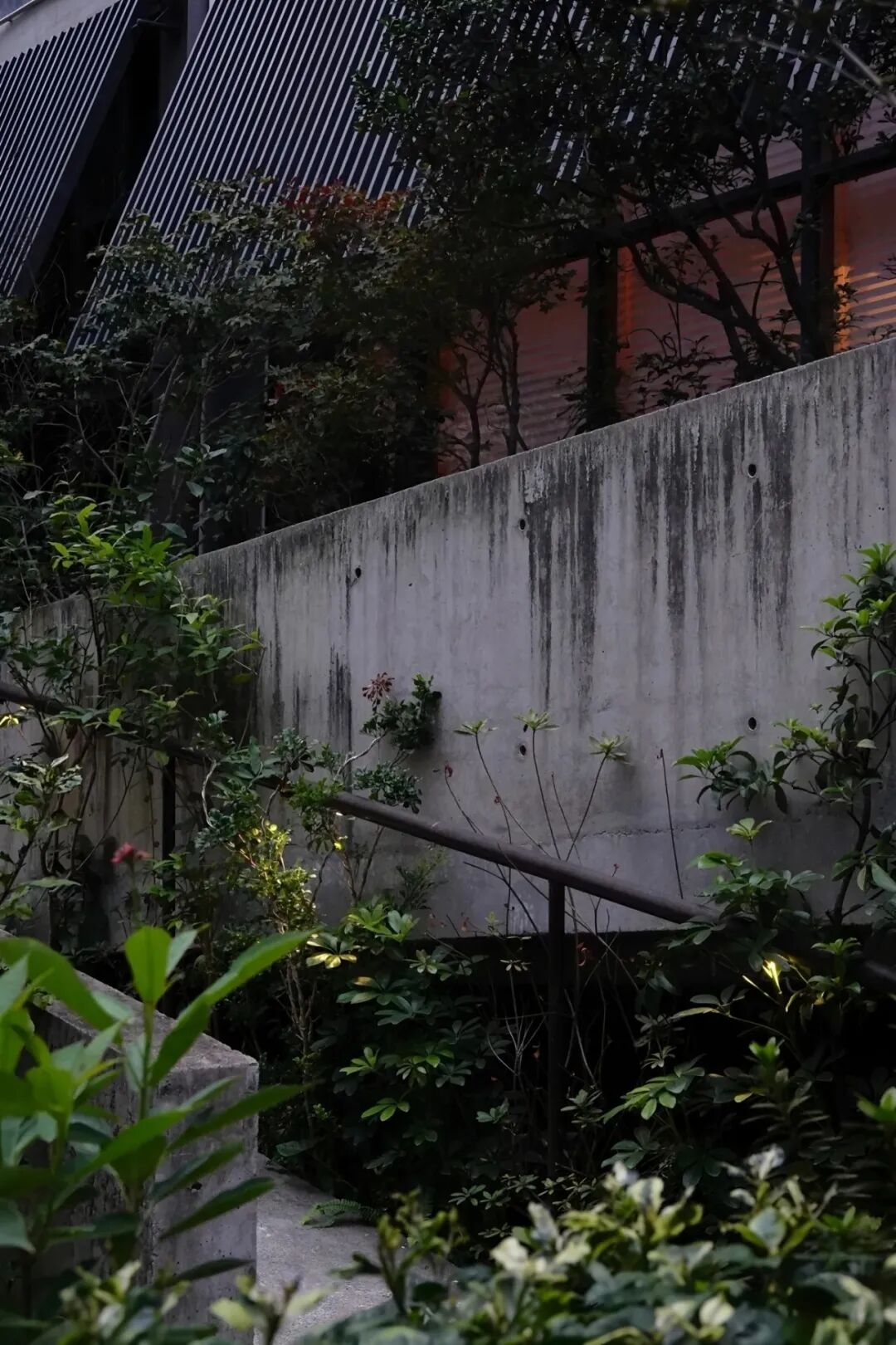 茅台鉴藏馆丨中国深圳丨BLOOMDESIGN绽放设计-7