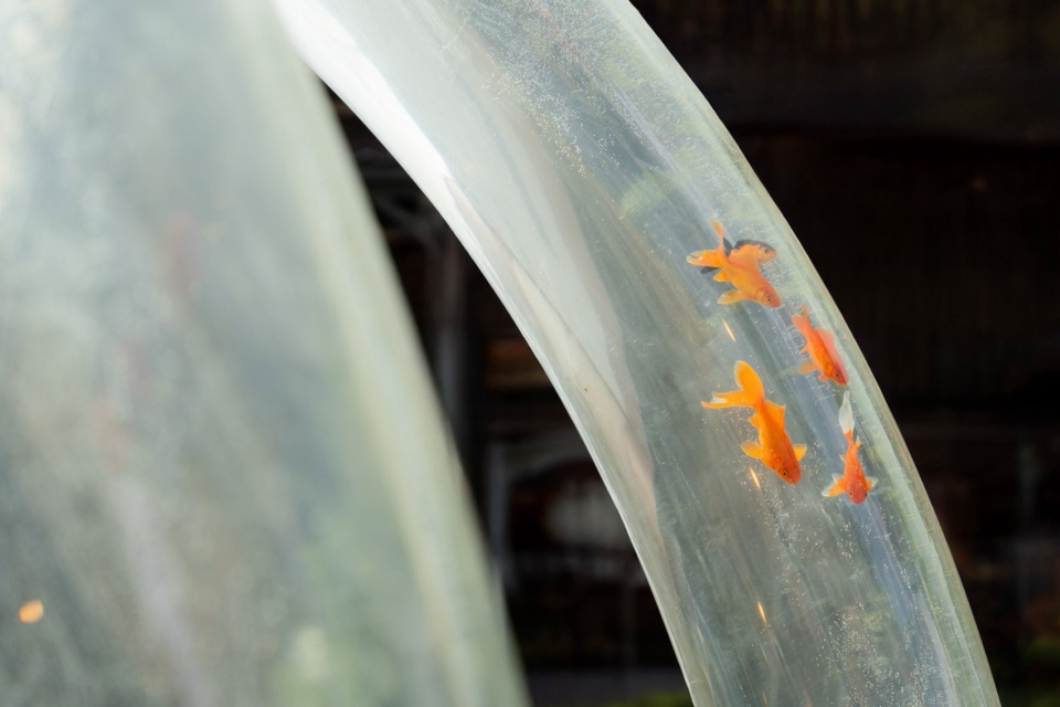 重庆光环花园城综合商业体丨中国重庆丨WTD纬图设计-82