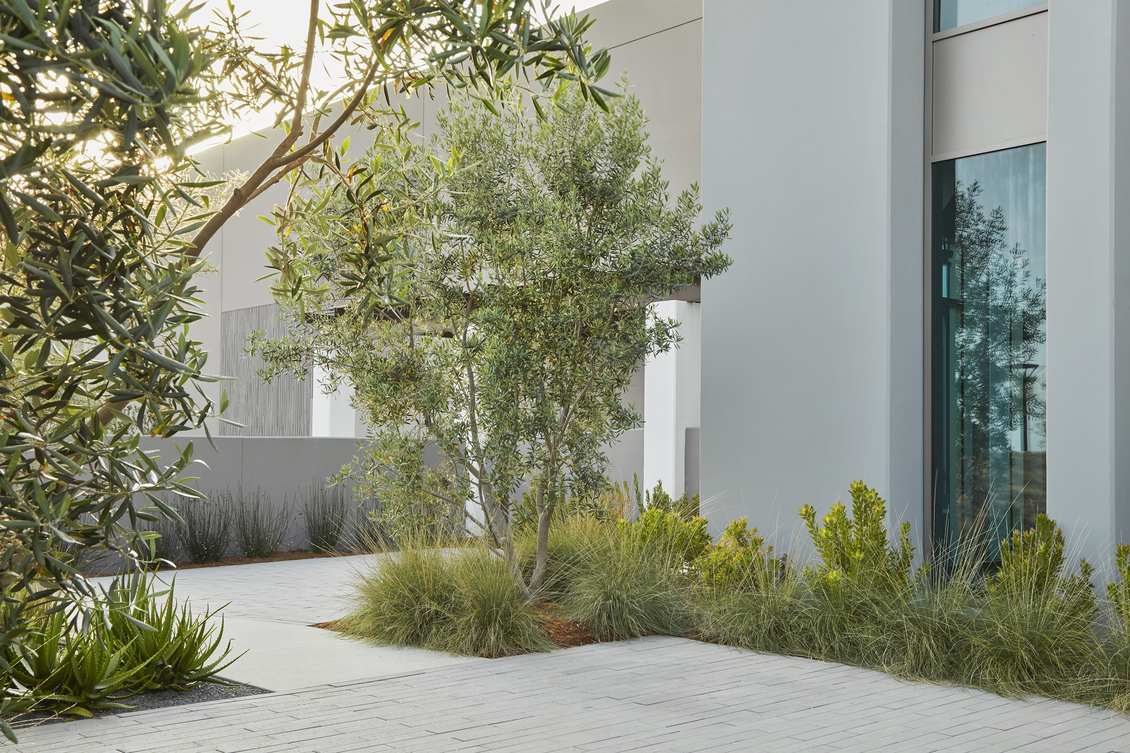 直接救济总部-14