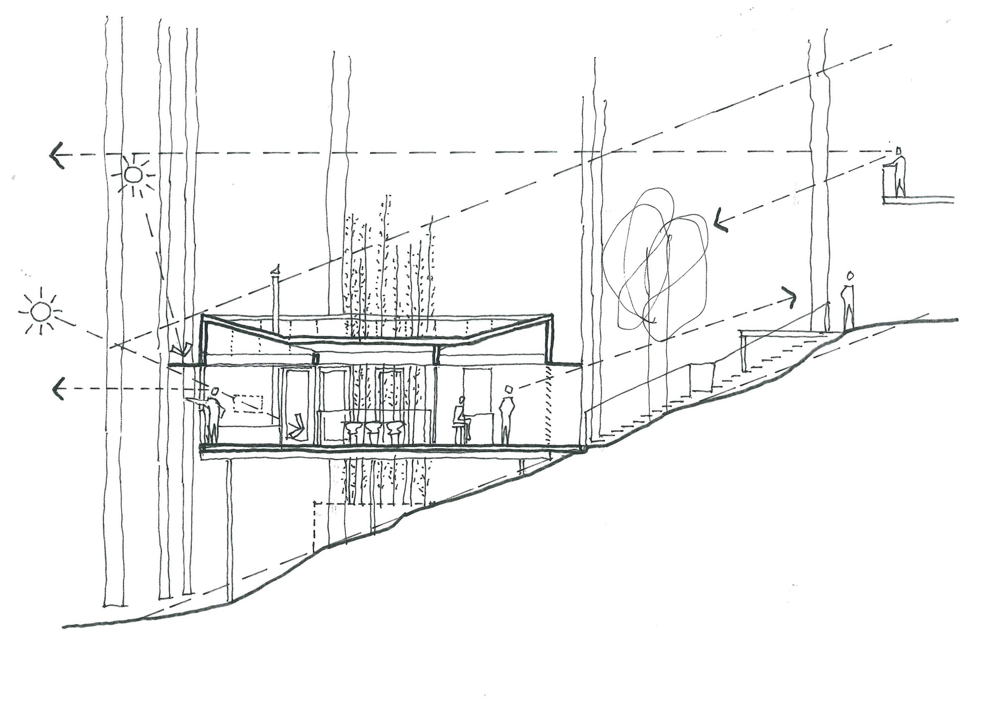 日出工作室丨澳大利亚布里斯班丨Bark Design Architects-14