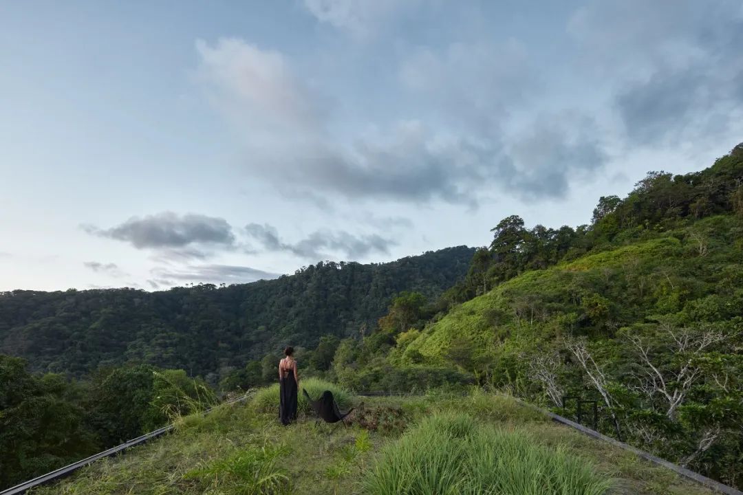 哥斯达黎加山林中的艺术别墅，野性与奢华的完美融合-53