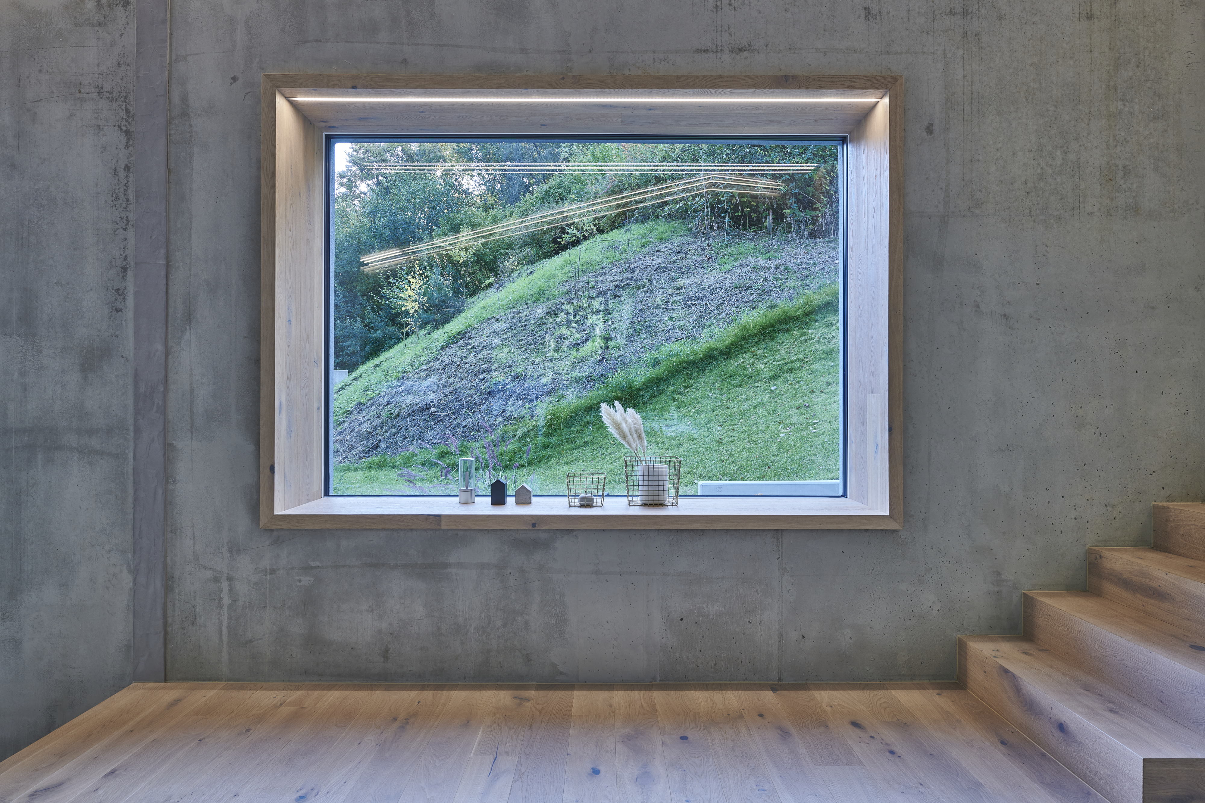 城堡山下的住宅与古橡树共生-24