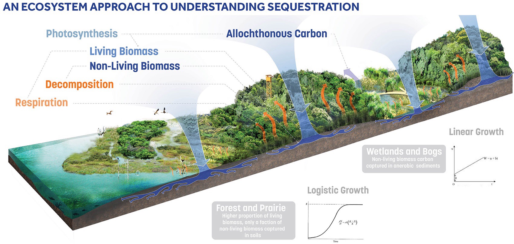 以“碳意识”设计丨Sasaki-29