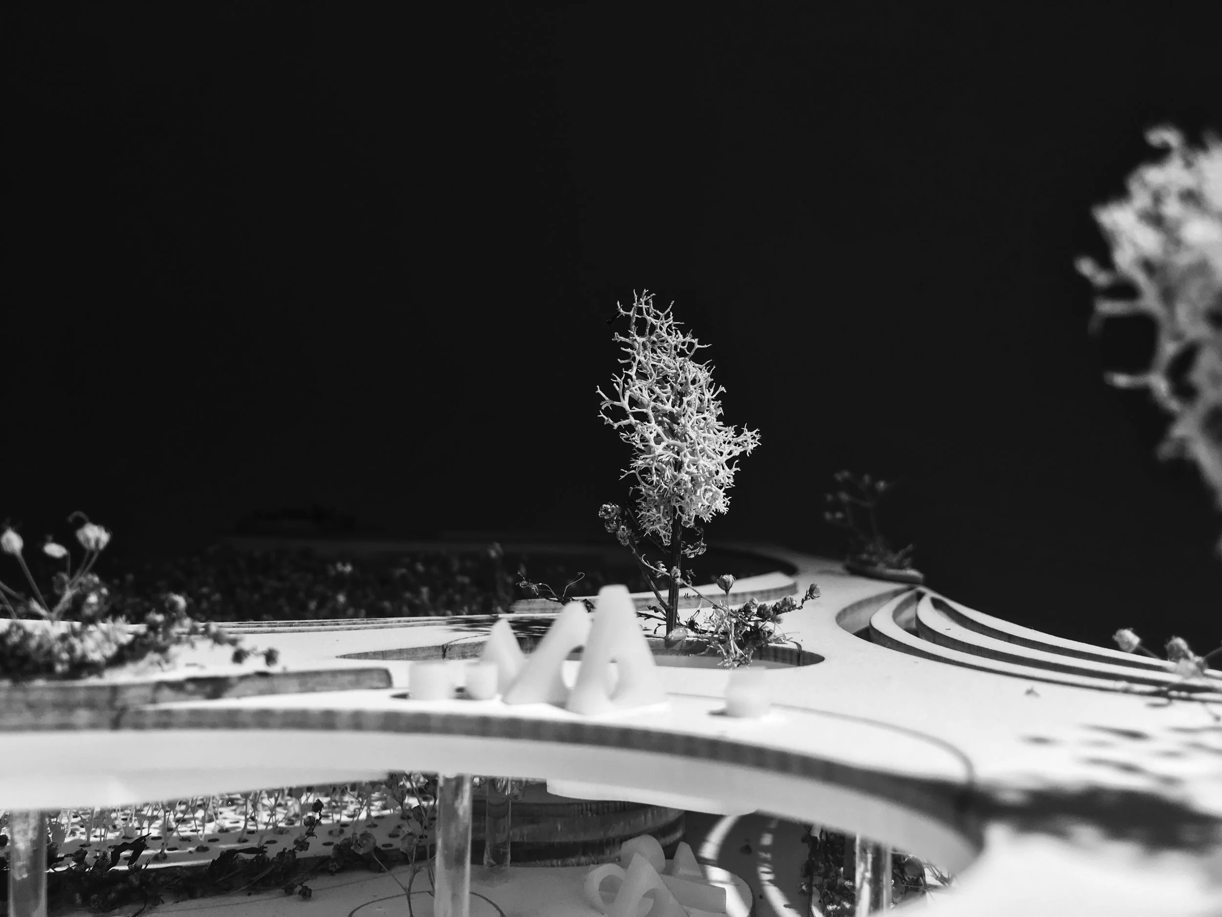 城市树木农场 + 公园丨美国曼哈顿-41