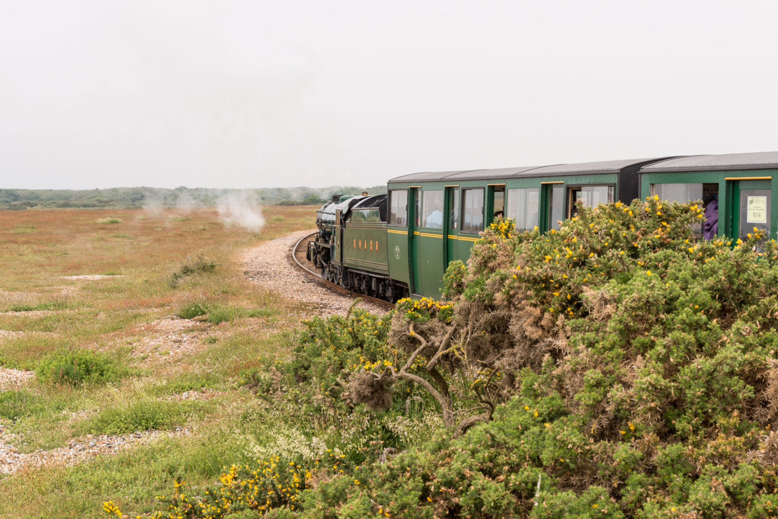 A Resident’s Guide to Dungeness | The Modern House-12