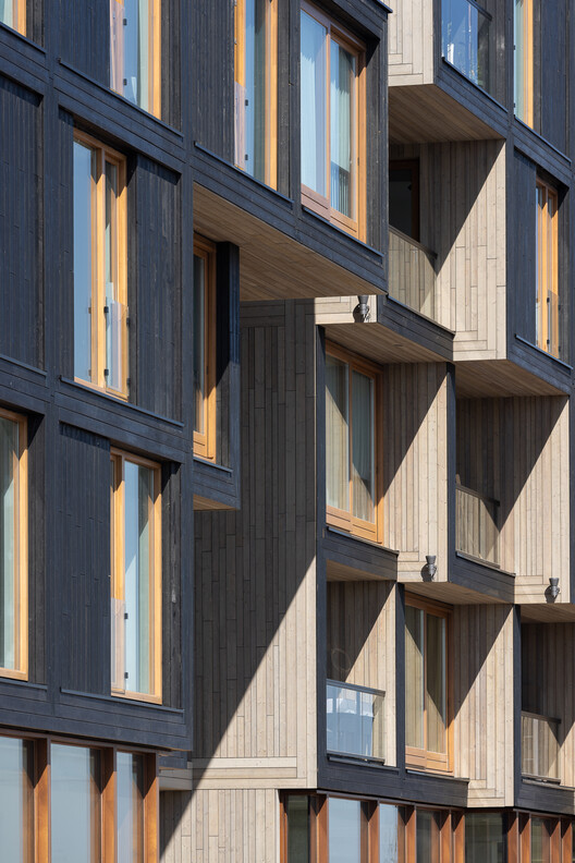 阿姆斯特丹“Juf Nienke”公寓丨荷兰阿姆斯特丹丨RAU,SeARCH-12