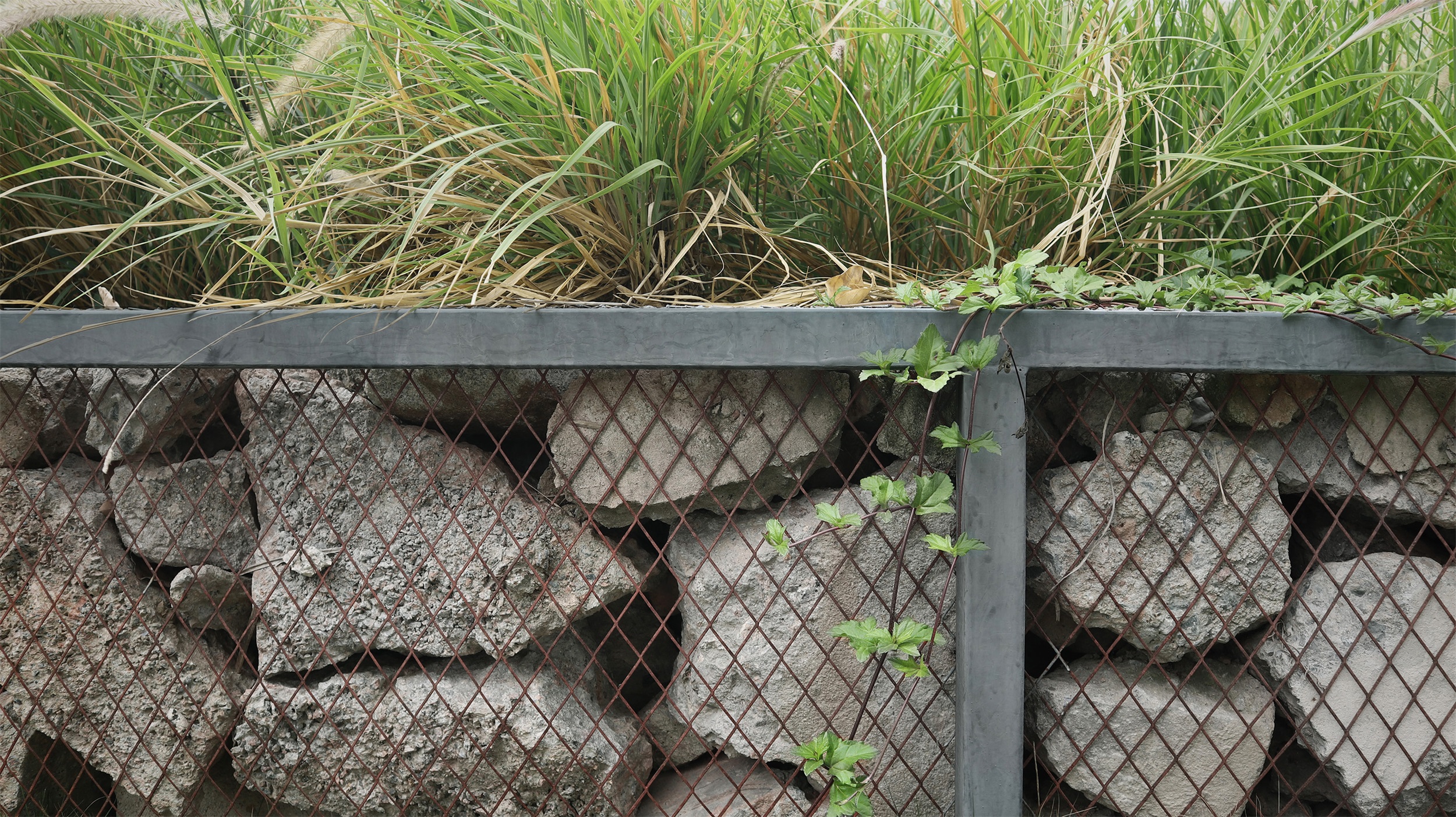 废弃地重生 · 深圳梅丰社区公园激活社区生活丨深圳自组空间-51