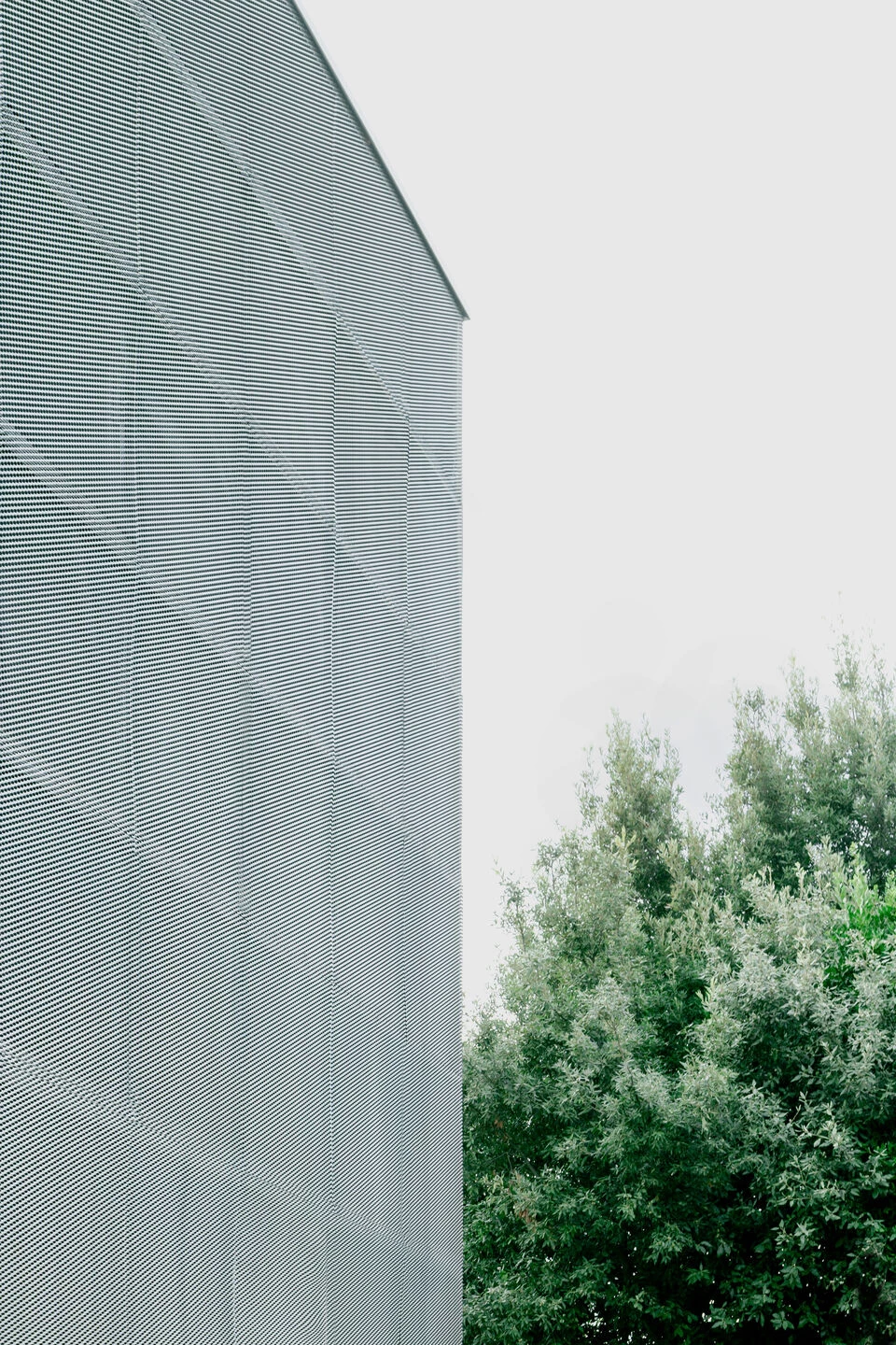 San Giusto 高中丨意大利丨Colucci&Partners-54