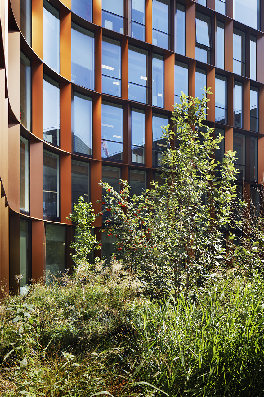 Bureaux en structure bois, quartier de la Montjoie-7