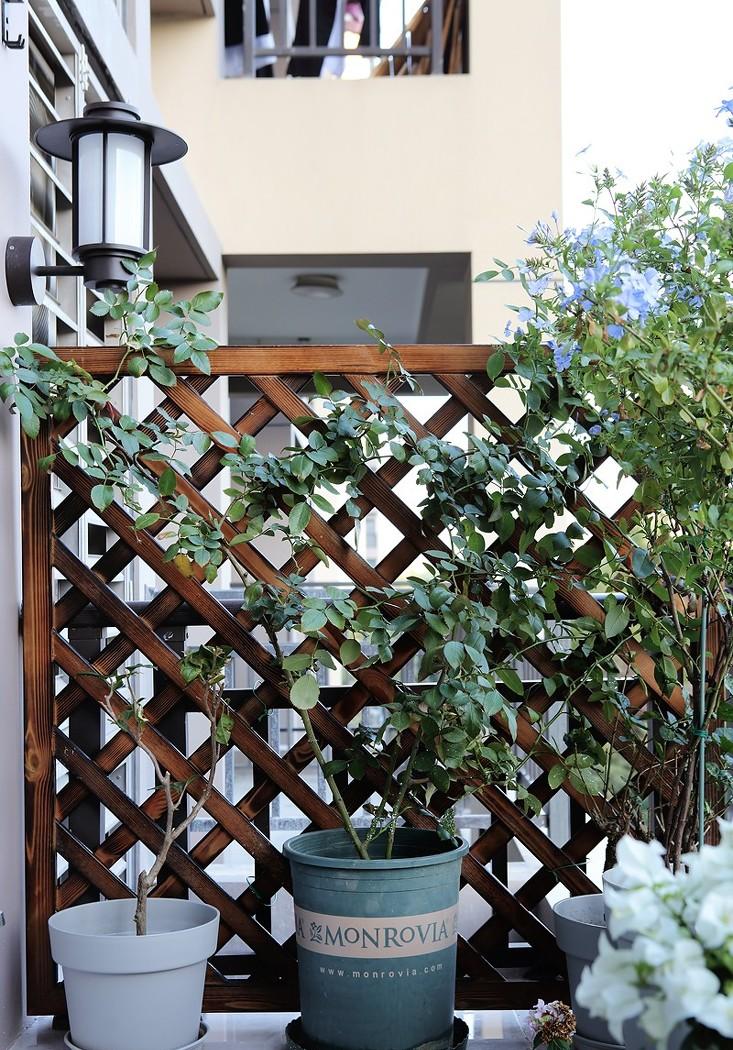 魔都 120 平米的绿色生活空间-68