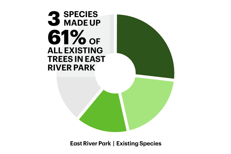 东河公园一期丨United StatesNew York丨MNLA,AKRF + KSE等多家机构-18