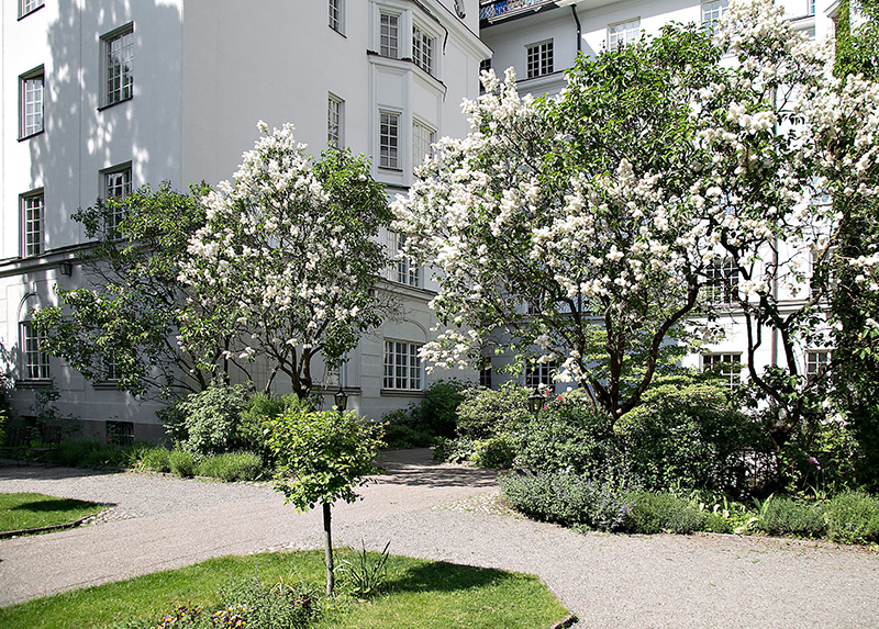 斯德哥尔摩美丽建筑中的优雅蓝白公寓-25