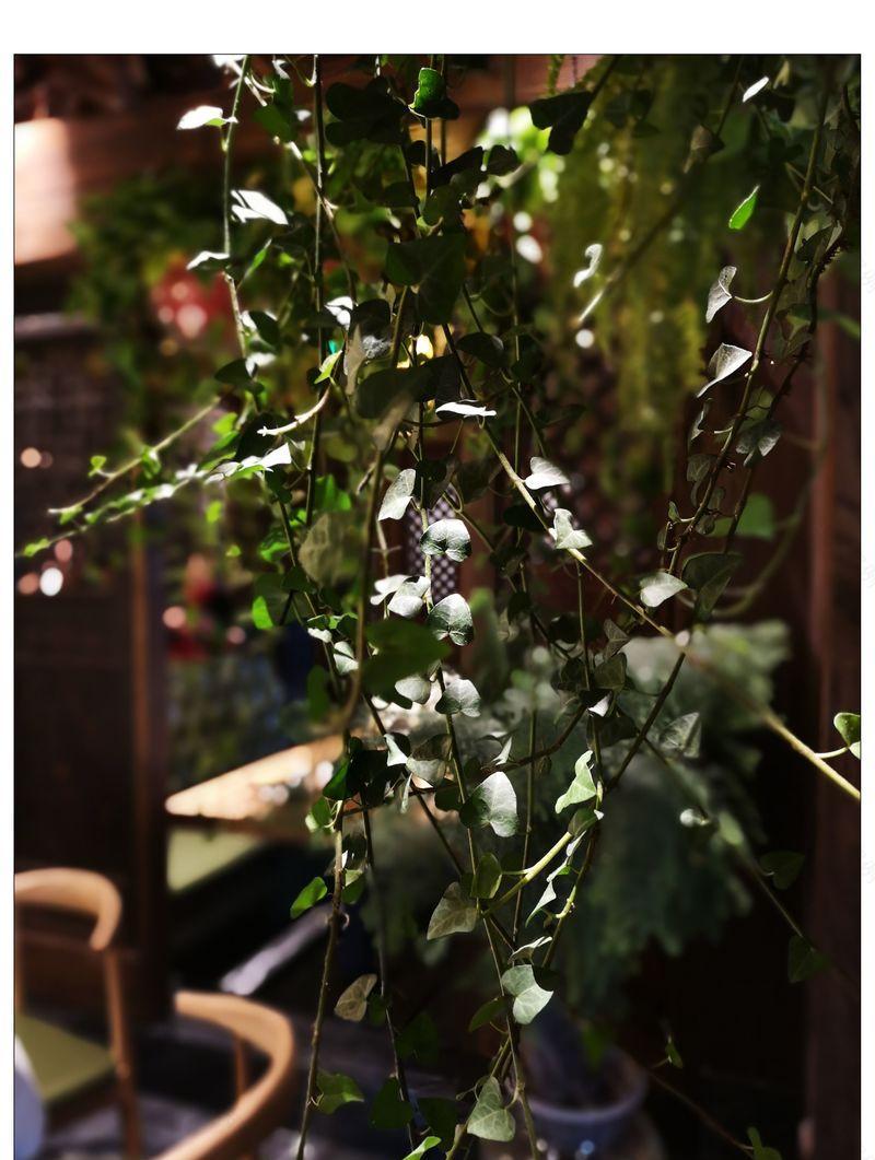 北京西域克里木餐厅-30