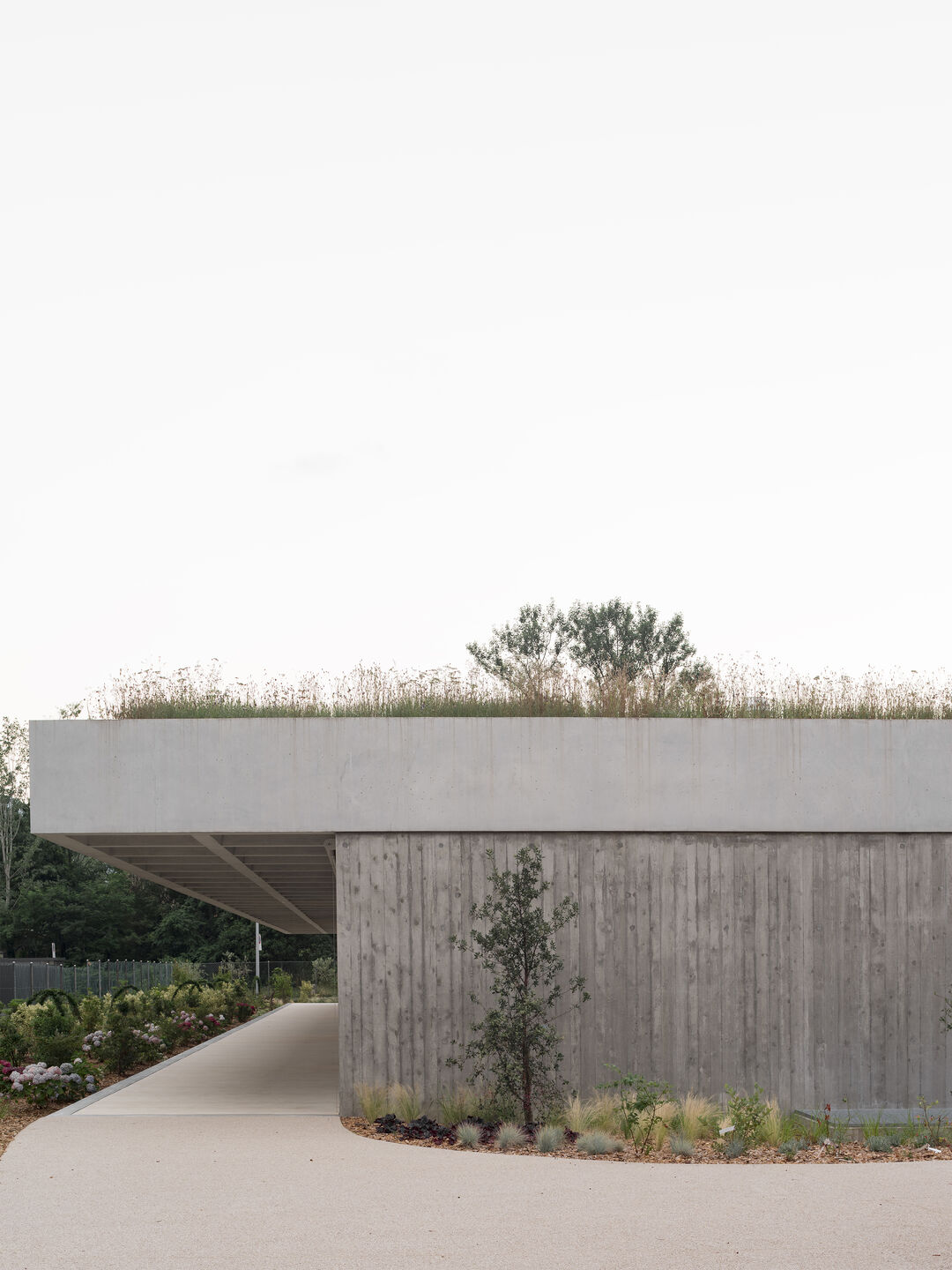 瑞士儿童可持续包容型新一代幼儿园  Arkitera丨cappelletti sestio architetti-6