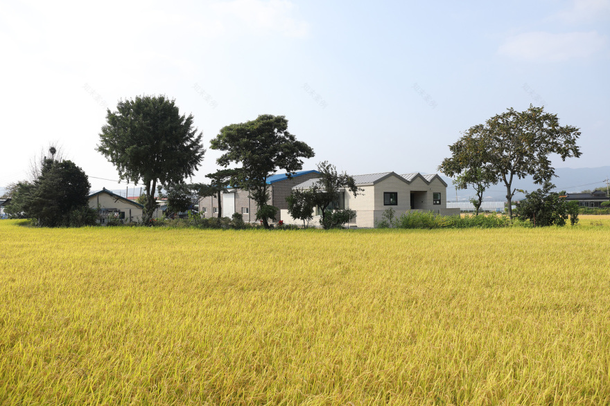 温暖自然的韩国稻田人参种植农户住宅-23